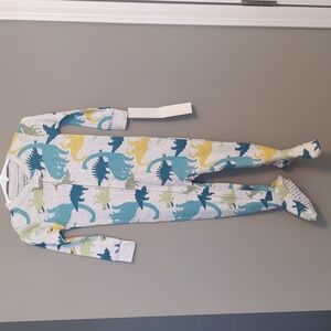 Dinosaur Print Onesies